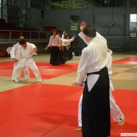 Ver imagen más grande