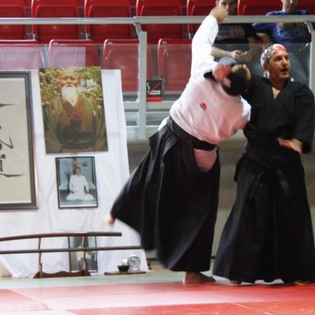 Ver imagen más grande