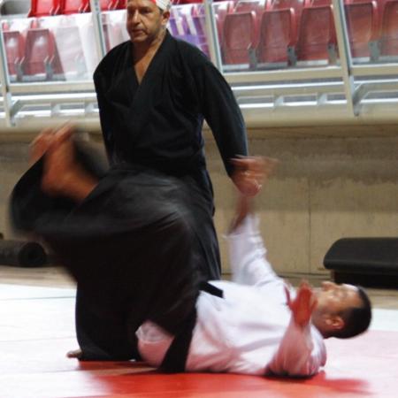 Ver imagen más grande