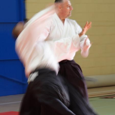 Ver imagen más grande