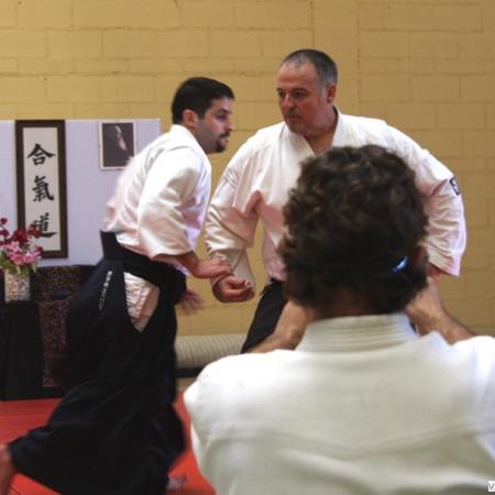 Ver imagen más grande