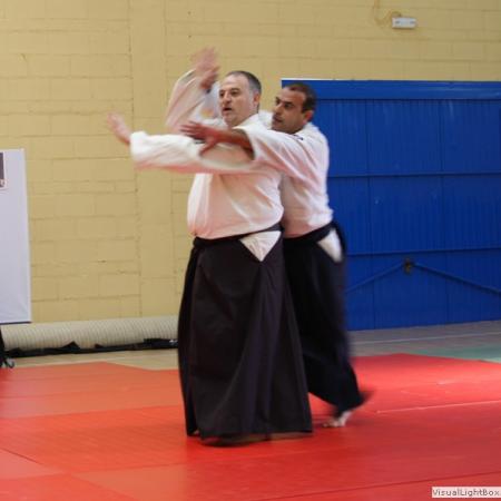 Ver imagen más grande