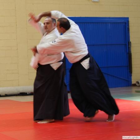 Ver imagen más grande