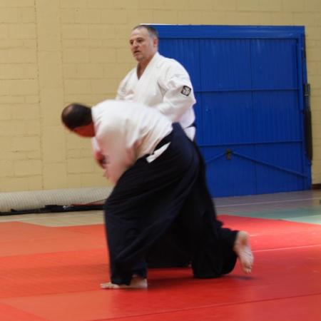 Ver imagen más grande