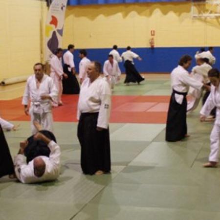 Ver imagen más grande