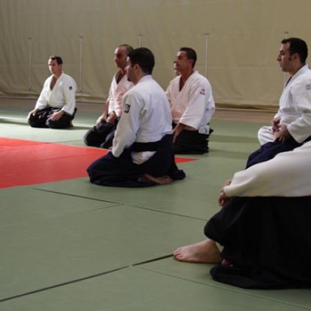 Ver imagen más grande