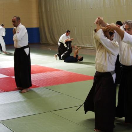 Ver imagen más grande