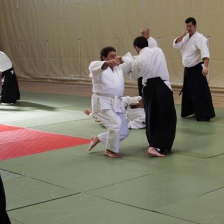 Ver imagen más grande