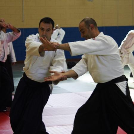 Ver imagen más grande