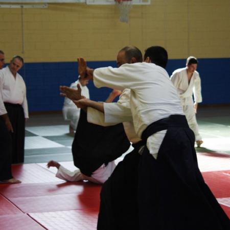 Ver imagen más grande