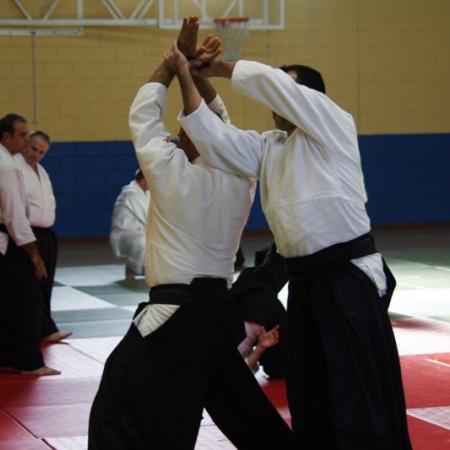 Ver imagen más grande