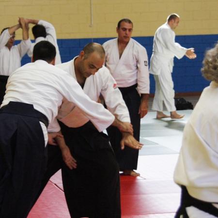 Ver imagen más grande