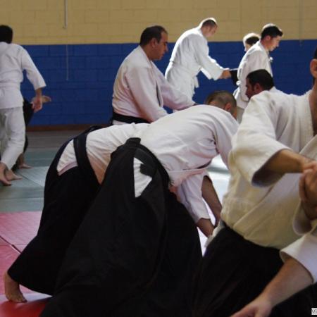 Ver imagen más grande