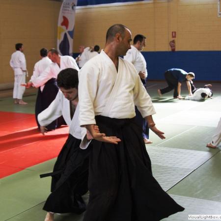 Ver imagen más grande