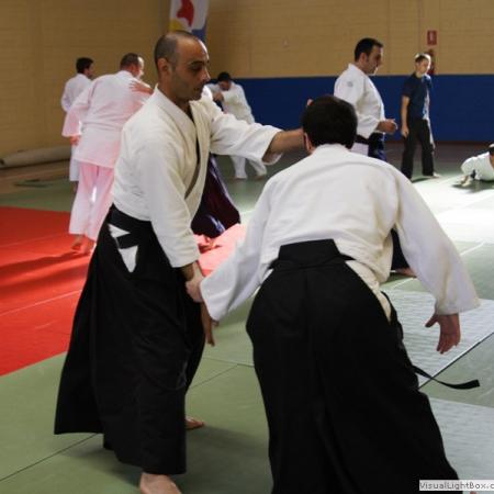 Ver imagen más grande