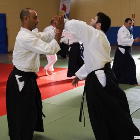 Ver imagen más grande