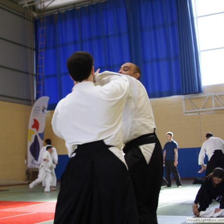 Ver imagen más grande