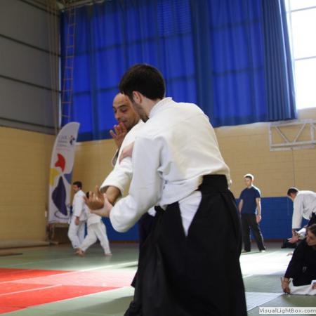 Ver imagen más grande