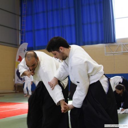 Ver imagen más grande