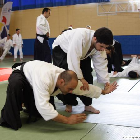 Ver imagen más grande