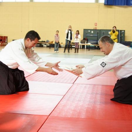 Ver imagen más grande