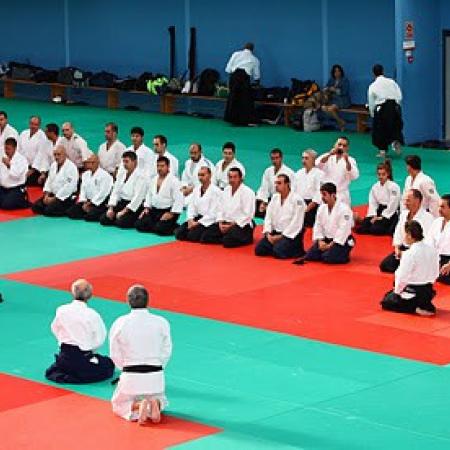 Ver imagen más grande