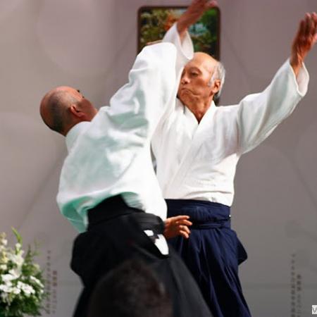 Ver imagen más grande