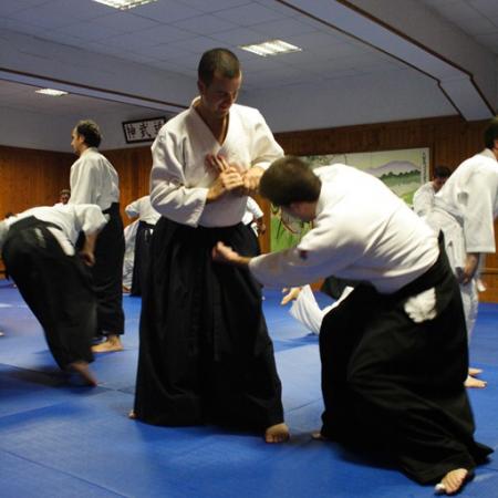 Ver imagen más grande