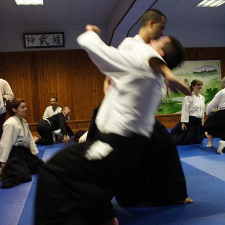 Ver imagen más grande