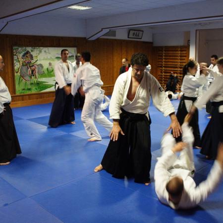 Ver imagen más grande